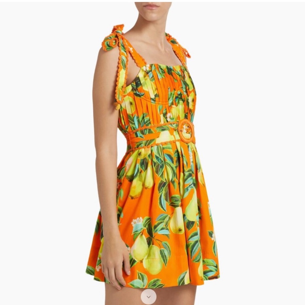 FARM Rio Chic Pears Mini Dress - Picture 3 of 12